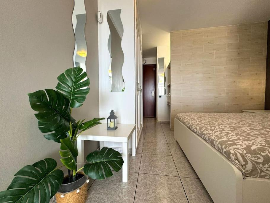 מורו דל חאבלה Palm Garden Apartment מראה חיצוני תמונה